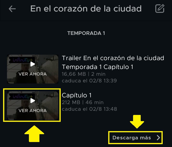 Capitulos_descargados2_editado.jpg
