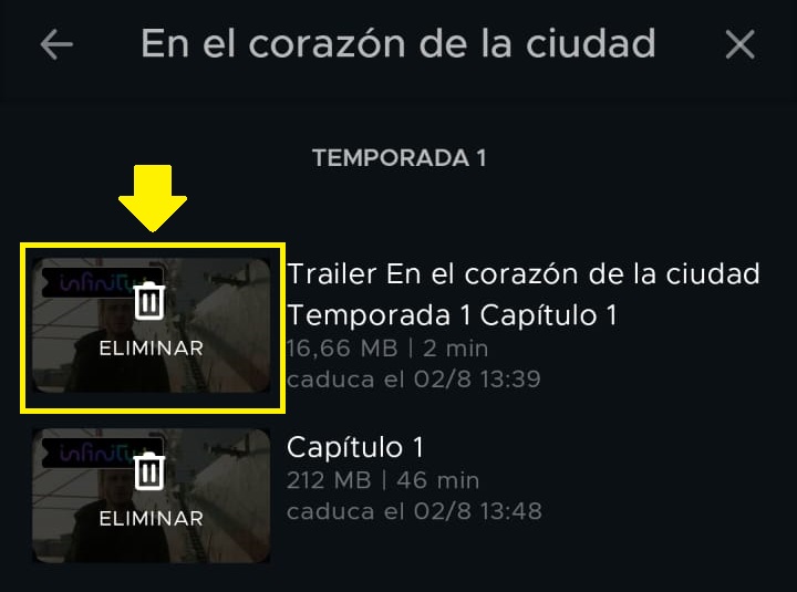 Borrar_capitulos3_editado.jpg